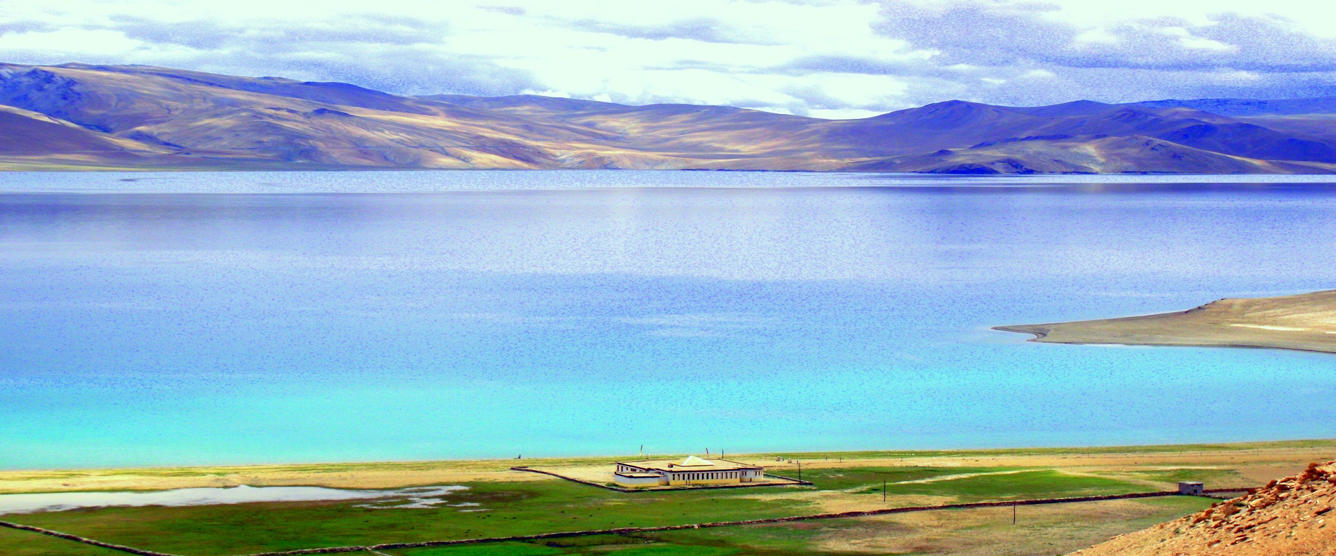 Tso moriri Lake